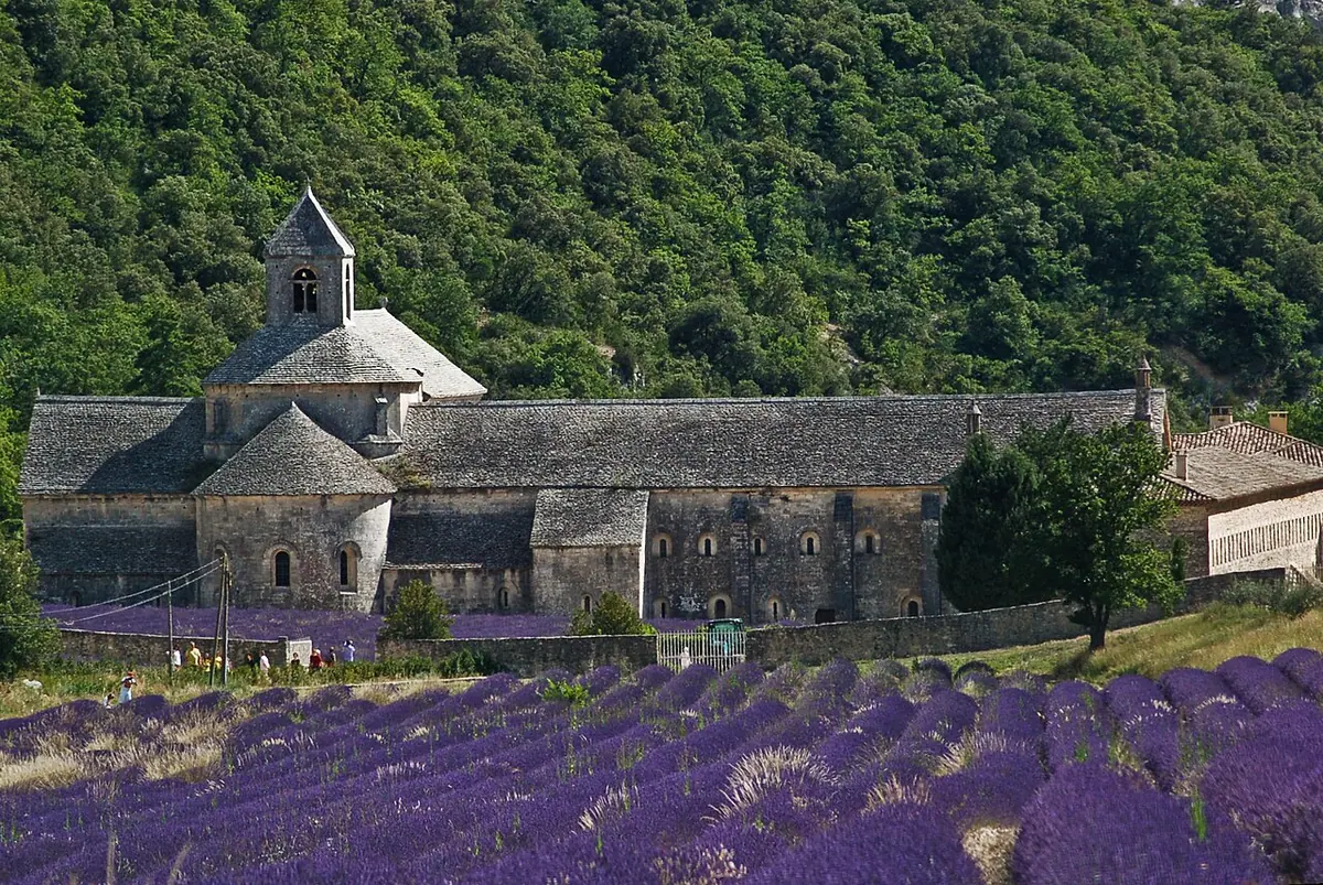 Abtei Notre-Dame de Sénanque bei Gordes mit blühenden Lavendelfeldern