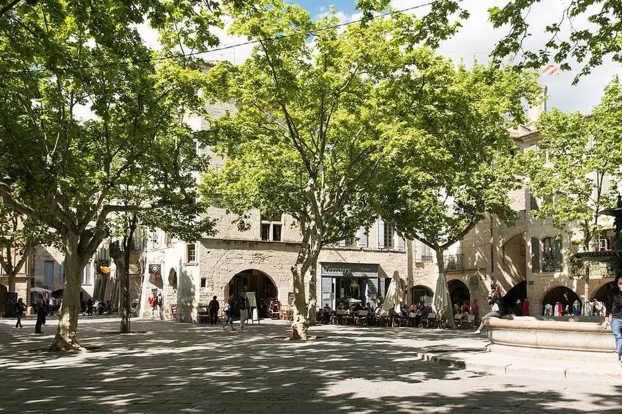 Platanen auf der Place aux Herbes in Uzès