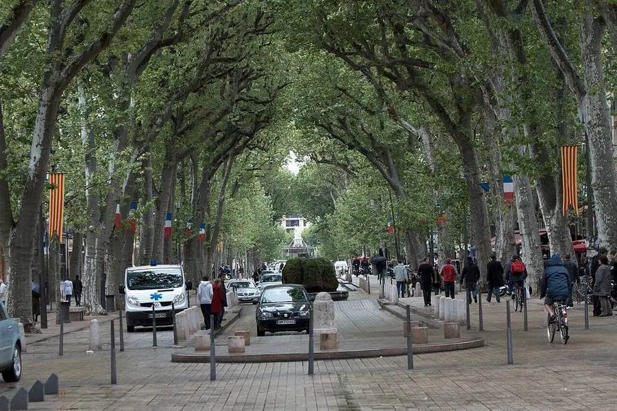 Platanenallee am Cours Mirabeau in Aix-en-Provence