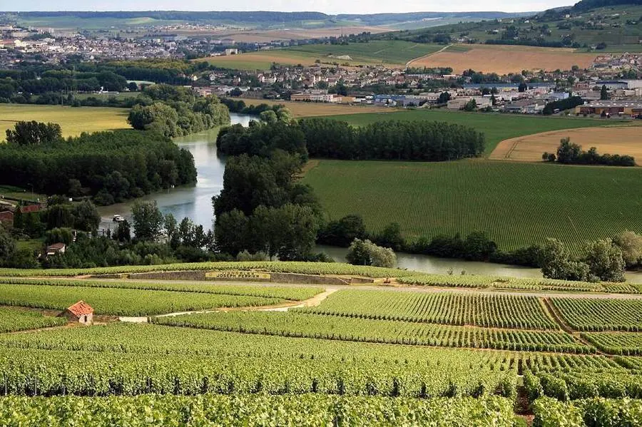 Weinberge und Flusslandschaft in der Champagne