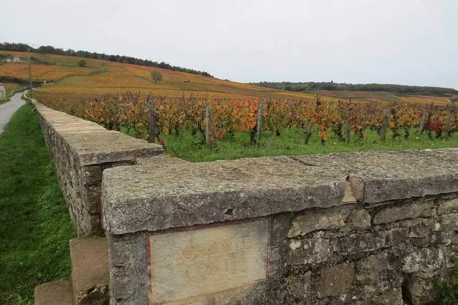 Weinreben und Steinmauer am Weinberg Romanée-Conti in Burgund.