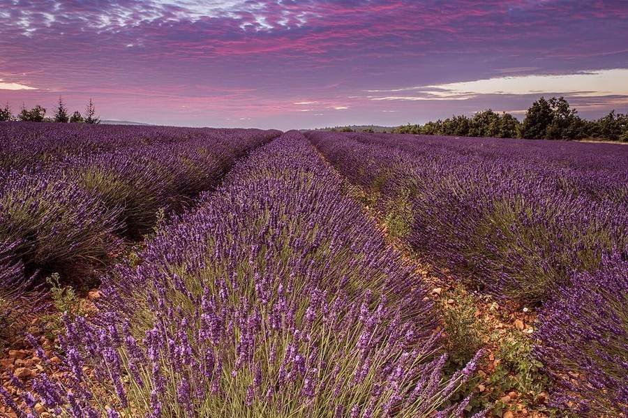 Beste Reisezeit für Frankreich: Monat für Monat